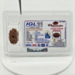Original 15 Mukhi Nepali Rudraksha Bead | Natural Lab Certified Rudraksha - Image 3