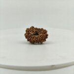 Original 16 Mukhi Nepal Rudraksha Lab Certified Natural Authentic Brown Bead South Extension Delhi