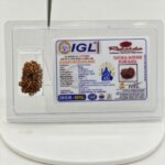 Original 16 Mukhi Nepal Rudraksha Lab Certified Natural Authentic Brown Bead South Extension Delhi