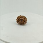 Original 11 Mukhi Nepal Rudraksha (Natural & Authentic) | Lab Certified Rudraksha Bead - Image 3