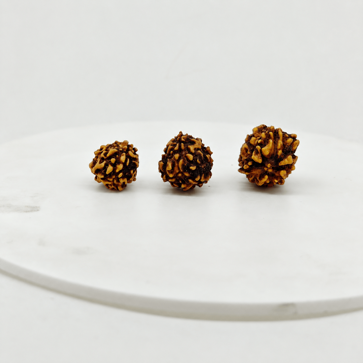 Original 3 Mukhi Rudraksha beads showing small medium and large size comparison on white background.