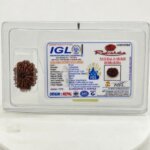 Original 11 Mukhi Nepal Rudraksha (Natural & Authentic) | Lab Certified Rudraksha Bead - Image 5