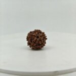 Natural 5 Mukhi Rudraksha – Certified Nepal Rudraksha for Lord Shiva & Jupiter (Guru)