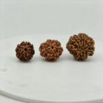 Premium 7 Mukhi Rudraksha Natural Nepal Lab Certified Original Rudraksha