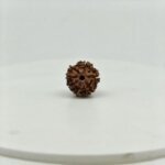 Original 7 Mukhi Rudraksha Nepal Bead | Natural & Lab Certified Rudraksha - Image 2