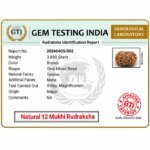 Lab Certified Original Natural Nepali 10 mukhi Rudraksha certificate showing authenticity and Nepal origin verification by a gem testing laboratory.