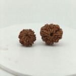 Natural 9 Mukhi Rudraksha front view from Nepal with nine well-defined natural faces, original and lab certified.