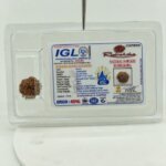 Sample lab certificate for Natural 9 Mukhi Rudraksha showing authenticity, Nepal origin, and certification details.