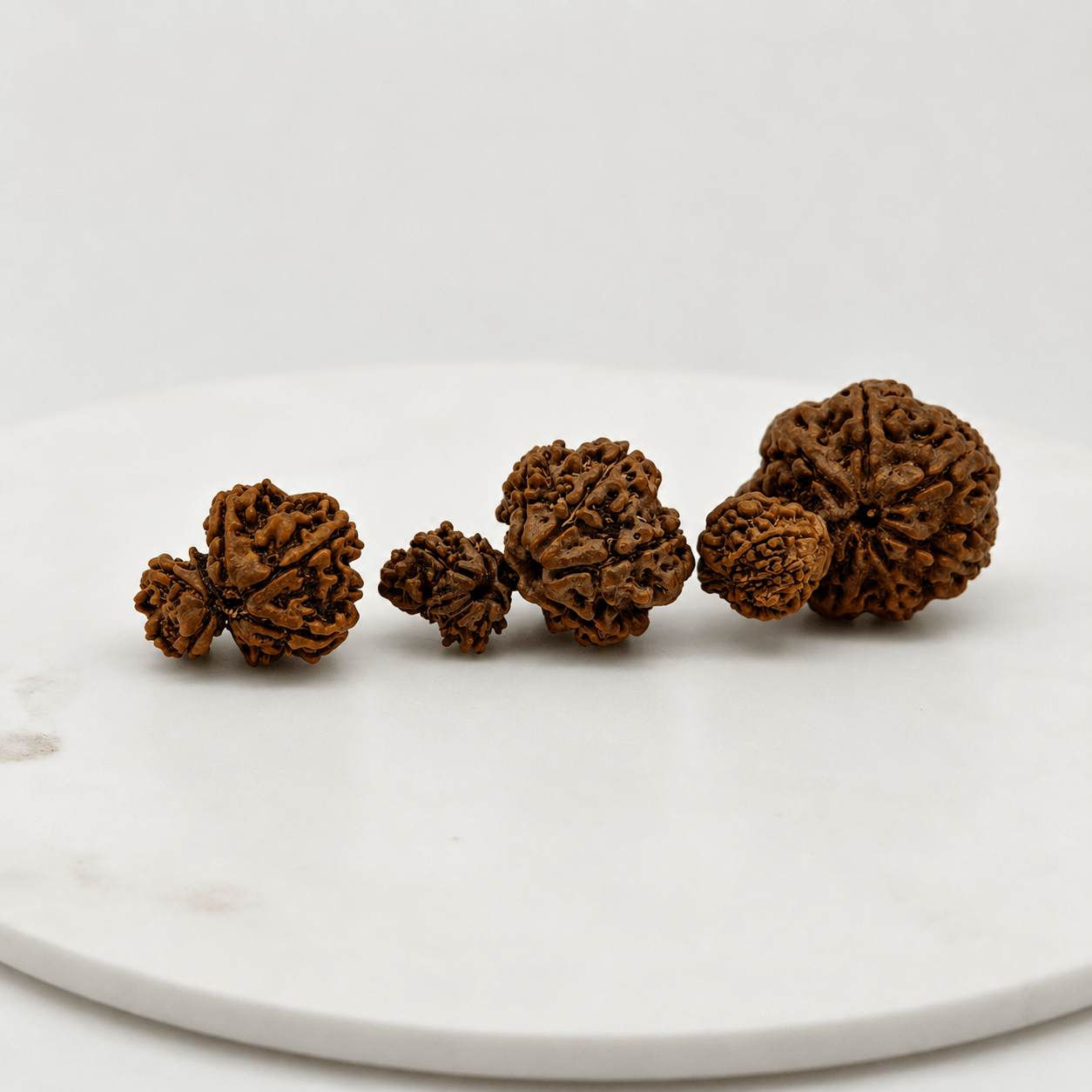 Original Nepal Rudraksha Beads Collection – Natural Certified Different Mukhi Rudraksha Original Nepal Rudraksha Beads Collection | Natural Certified Rudraksha Different Mukhi for Spiritual Healing & Meditation