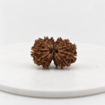 Original Nepali Gauri Shankar Rudraksha Lab Certified natural sacred bead for harmony, spiritual growth, meditation and Vedic astrology by Shraddha Shree Gems