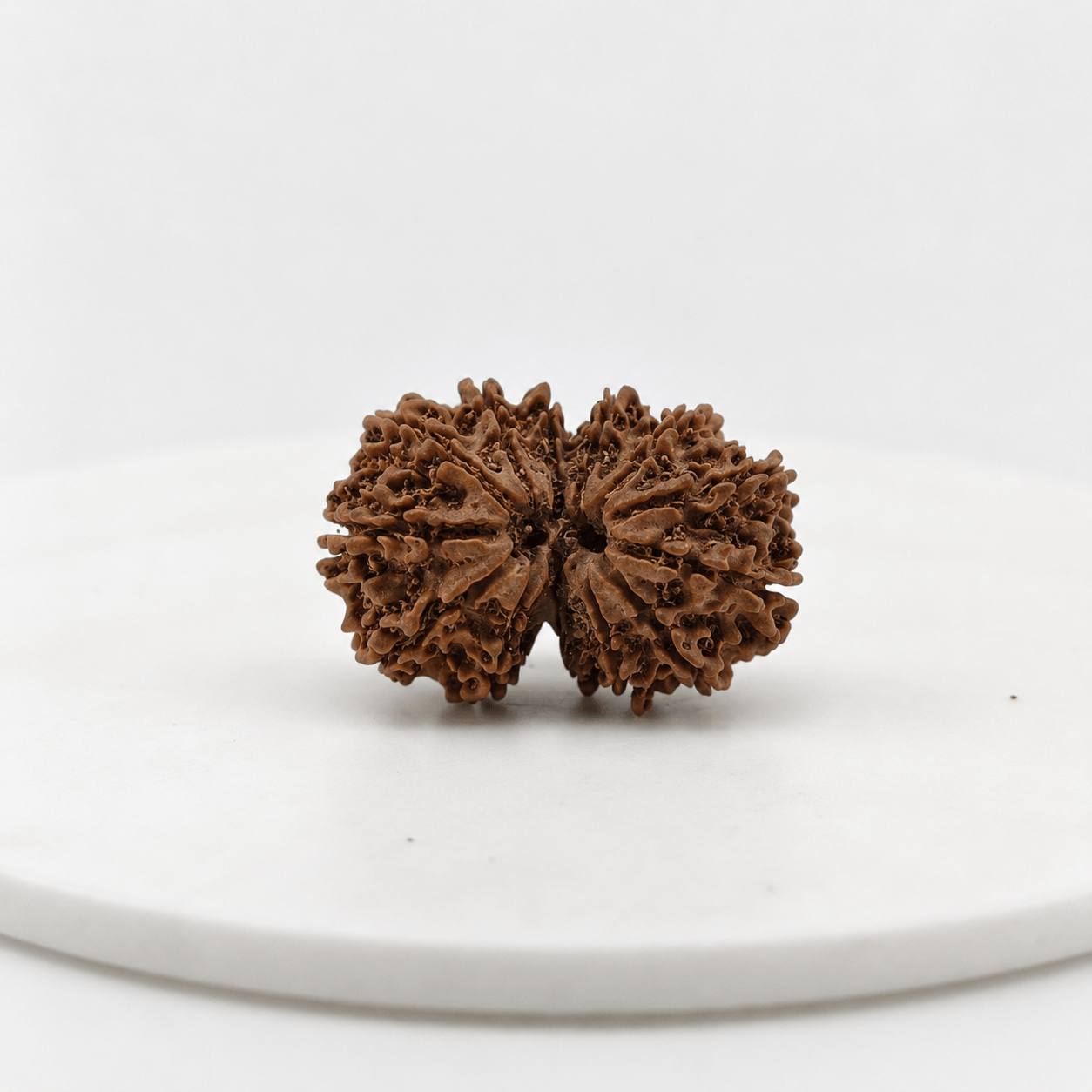 Original Nepali Gauri Shankar Rudraksha Lab Certified natural sacred bead for harmony, spiritual growth, meditation and Vedic astrology by Shraddha Shree Gems
