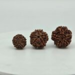 Buy Natural 5 Mukhi Rudraksha Online | Certified Original Five Mukhi Nepal Rudraksha for Lord Shiva & Jupiter (Guru)
