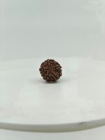 Natural 5 Mukhi Rudraksha (One Mukhi) | Certified Original Nepal Rudraksha for Lord Shiva & Spiritual Growth