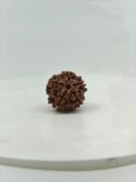 Premium 5 Mukhi Rudraksha (Natural Nepal Bead) | Lab Certified Original Rudraksha - Image 3
