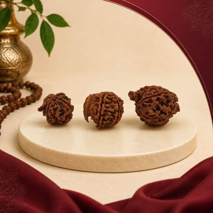 Sawan Rudraksha Sale | Buy Original Nepal Rudraksha Online at Best Prices | Certified Rudraksha Offers for Shravan Festival