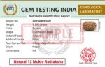 GTI certificate of original 3 Mukhi Rudraksha showing authenticity, natural mukhis, Nepal origin, and laboratory testing report.