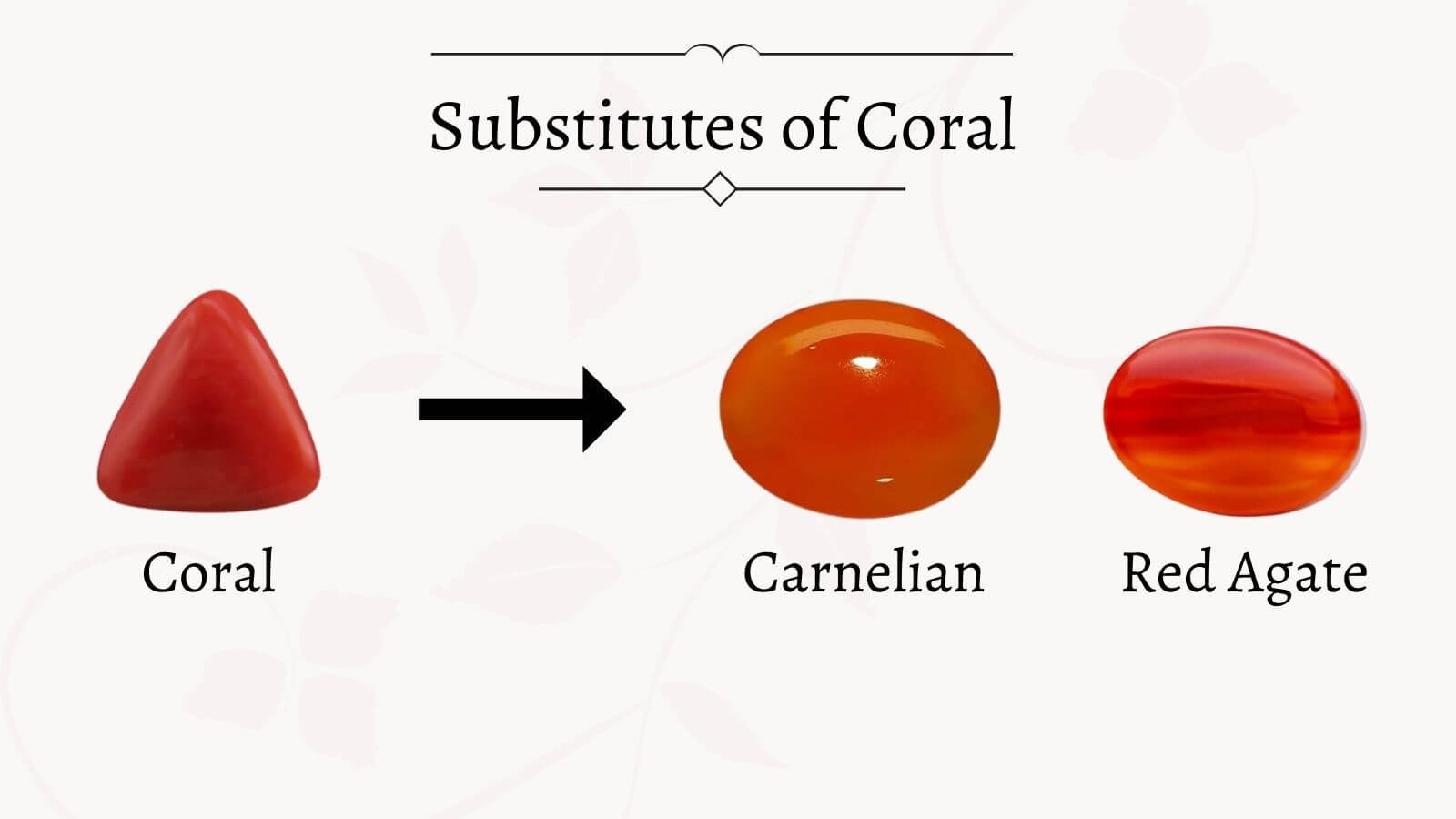 substitute of coral